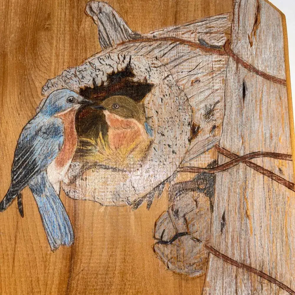 Tom Vandenbosch Handcrafted Bluebirds Wood Burned Pyrography Art Plaque - Picture 2 of 8